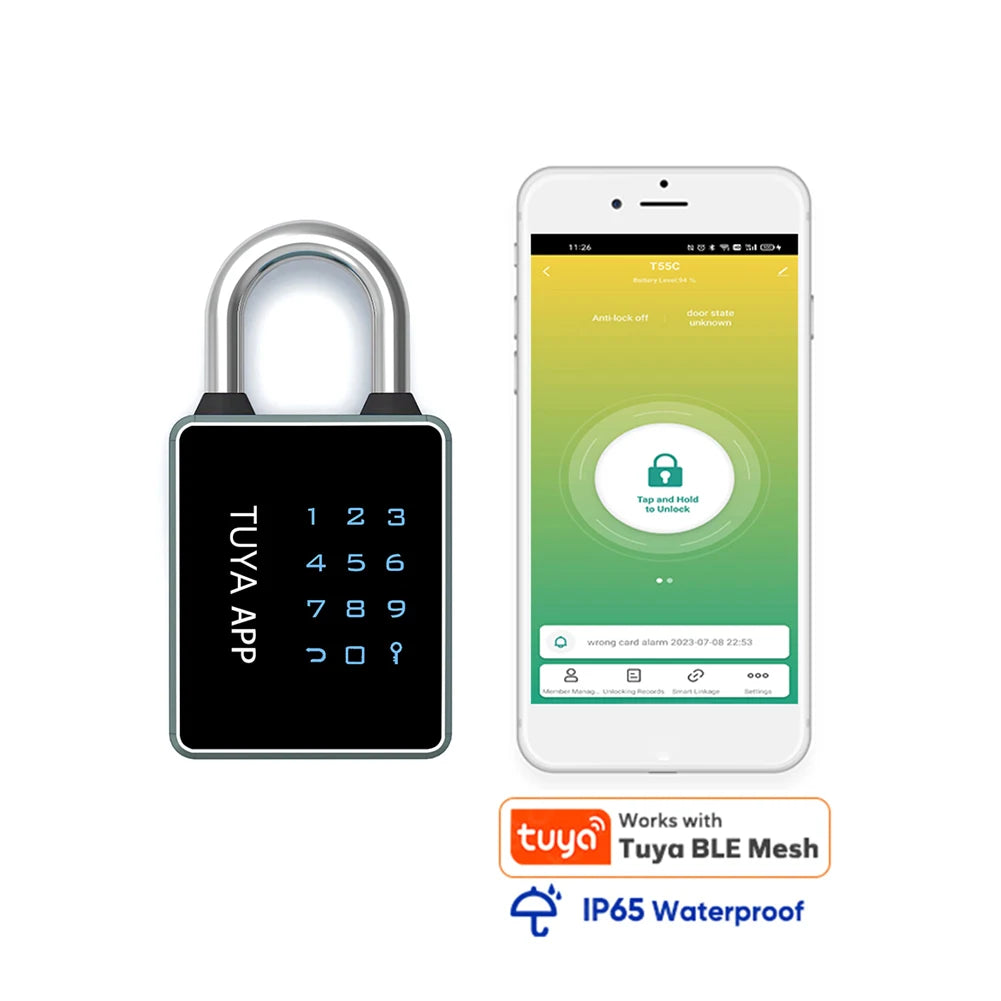 Tuya /Ttlock Wifi Electronic Smart Door Lock Biometric Fingerprint Unlock Intelligent Password Lock Keyless Entry for Smart Home